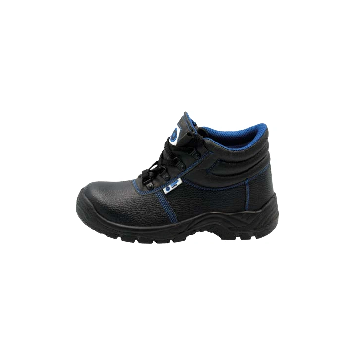 Tampa S1 SRC / Basel O1 SRC