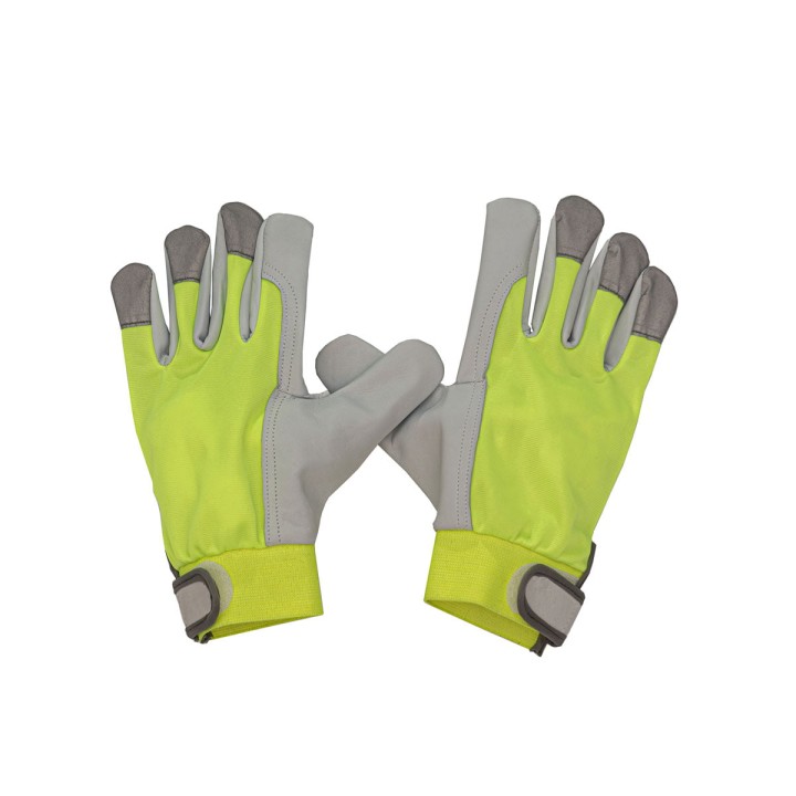 ASSEMBLY FLUO